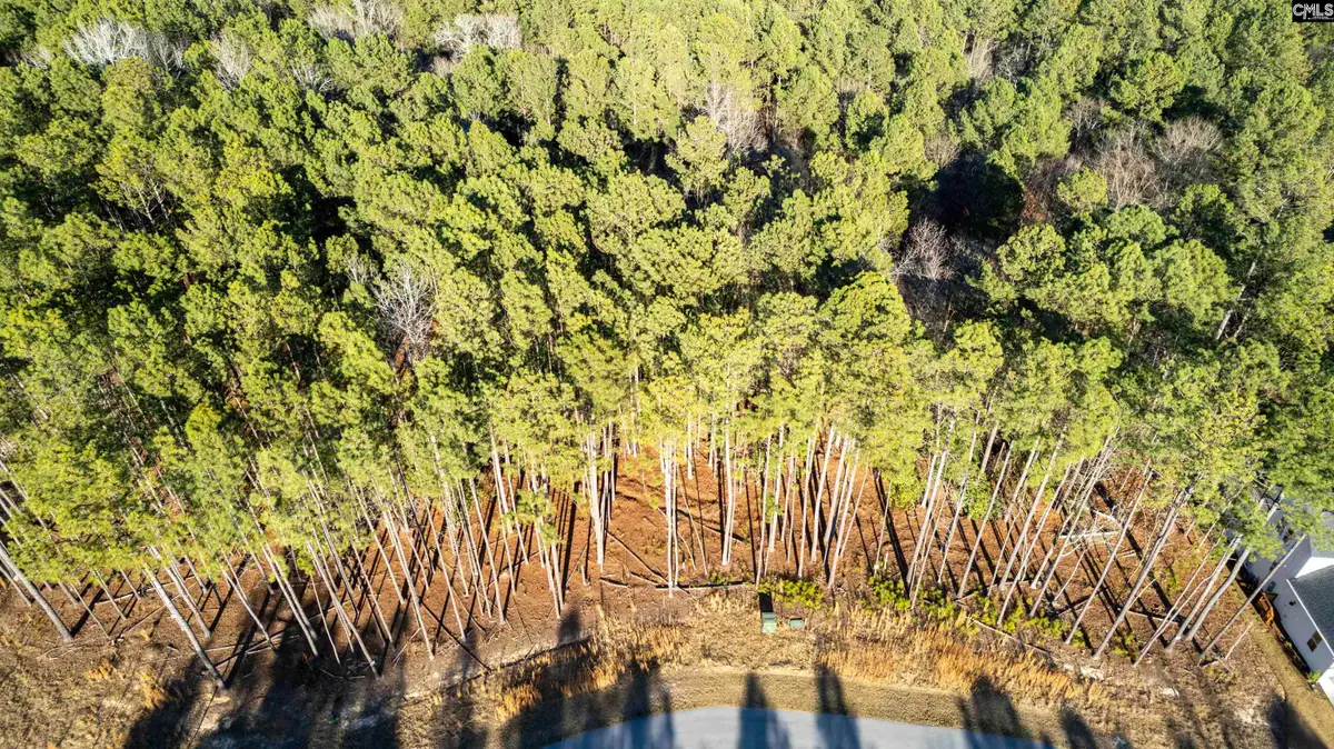 LOT 83 Timber Trail Lane, Columbia, SC 29217 - Image #1