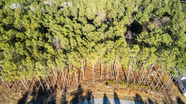 LOT 83 Timber Trail Lane, Prosperity, SC 29217