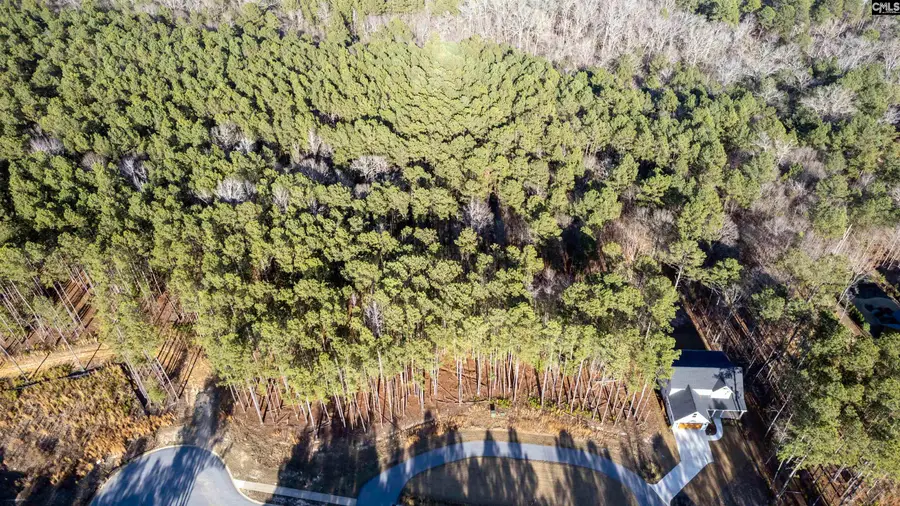 LOT 83 Timber Trail Lane, Columbia, SC 29217 - Image #2