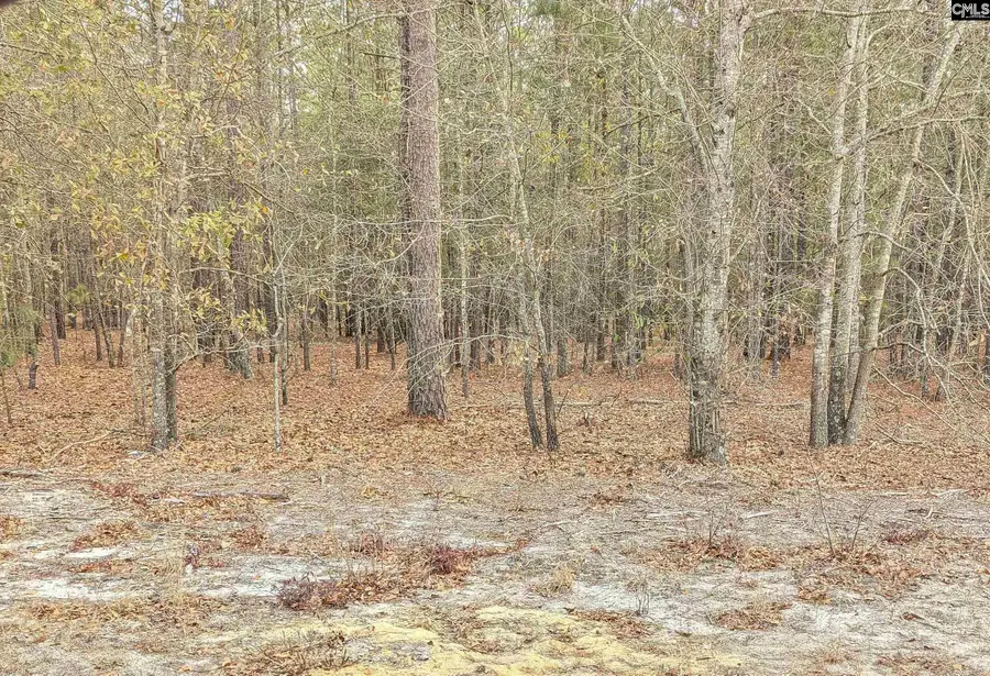 45 Fletcher Drive, Kershaw, SC 29067 - #2