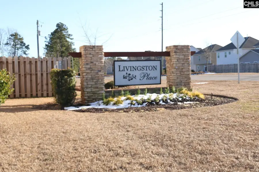 1005 Old Town Road, Irmo, SC 29063 - #2