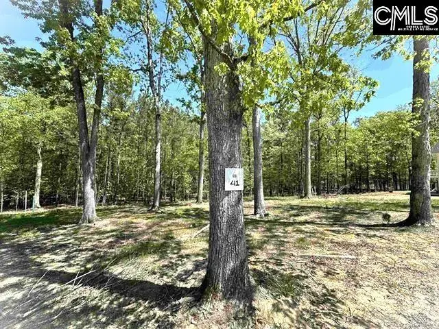 41 Shoreview Drive, Prosperity, SC 29127 - #3