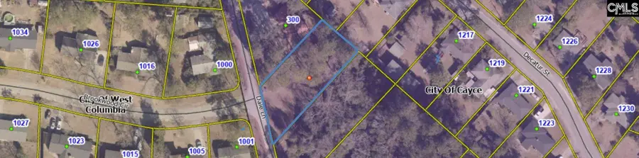 300 Dale Lane, Cayce, SC 29033 - #2