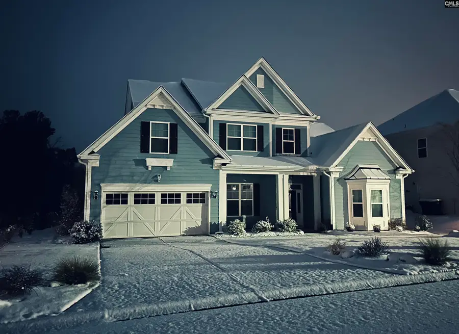 2019 Ludlow Place, Chapin, SC 29036 - Image #3