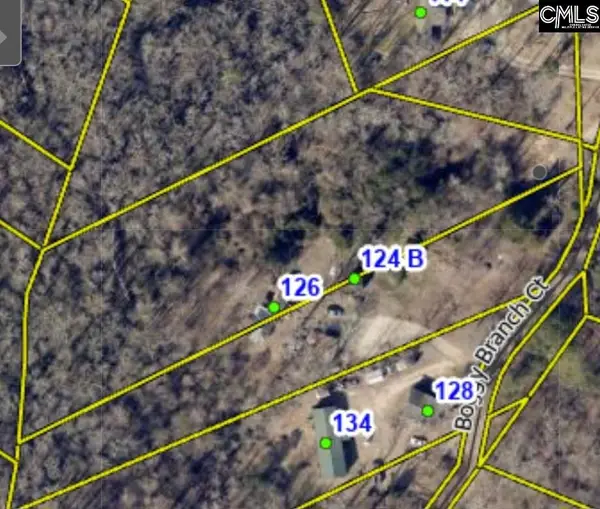 124 Boggy Branch Ct., Gaston, SC 29053