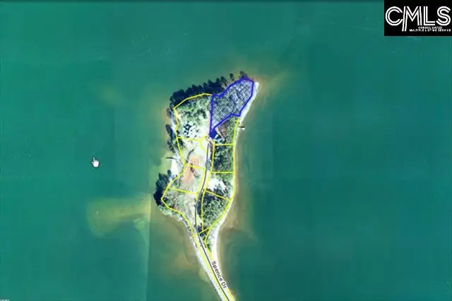 1594 Spence Road, Lexington, SC 29072 - #2