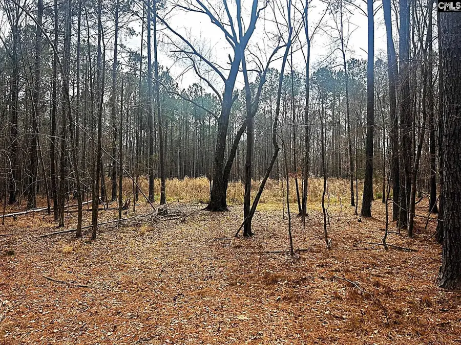 0 Circle H Woods Road, Prosperity, SC 29127 - #2