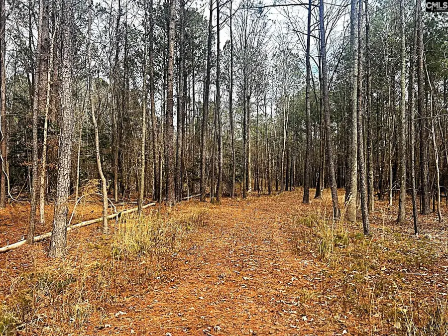 0 Circle H Woods Road, Prosperity, SC 29127 - #3