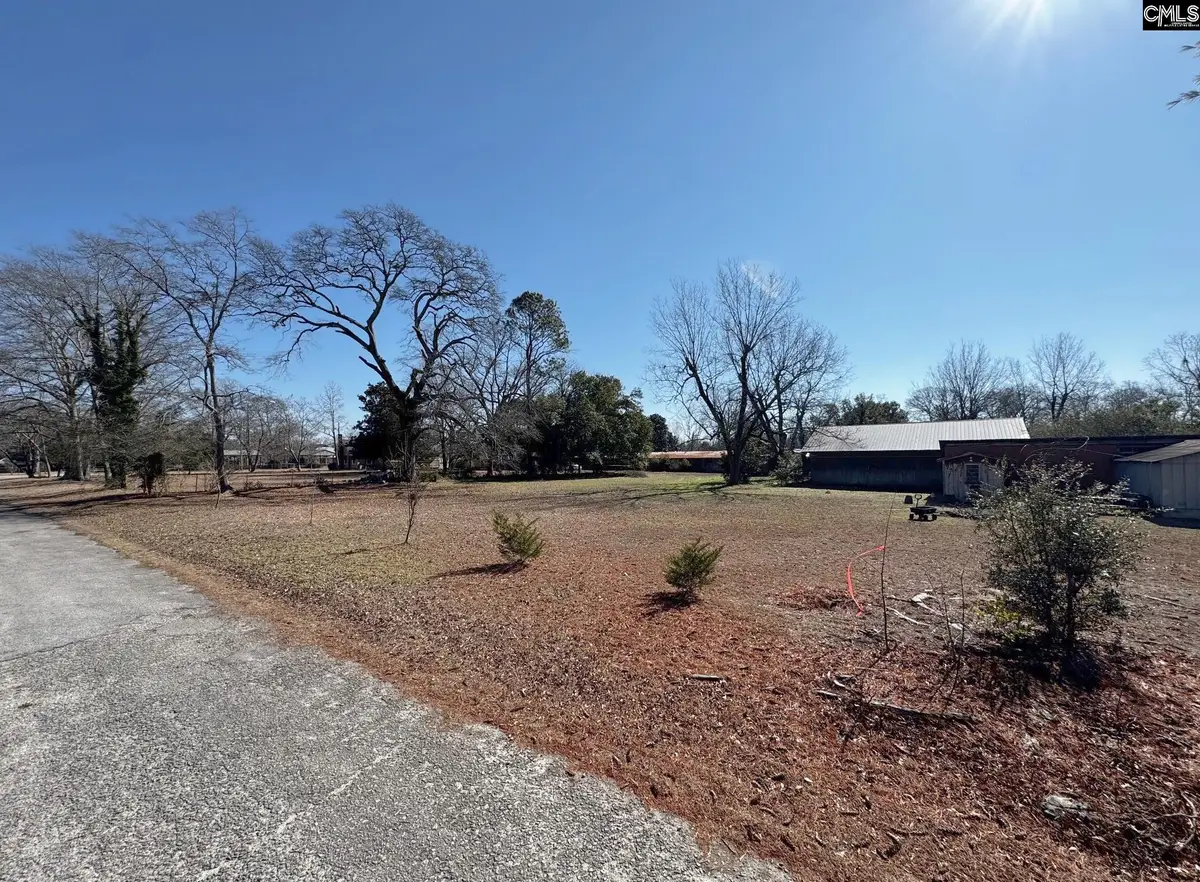 TBD Tabernacle Street, Leesville, SC 29070 - #1