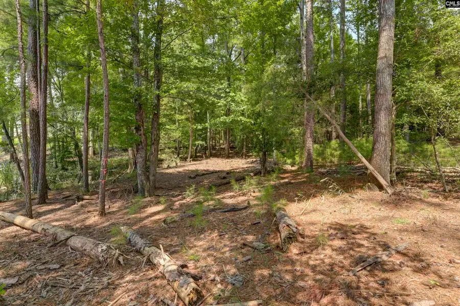 TBD Retreat Way, Ridgeway, SC 29130 - #3