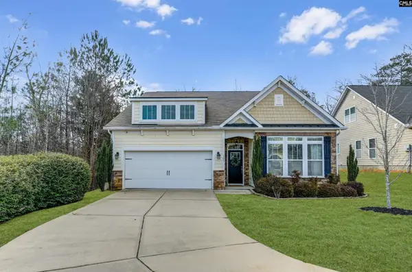 301 Explorer Drive, Chapin, SC 29036