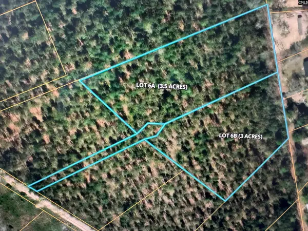 06A Otis Baughman S.r. Road, Wagener, SC 29164