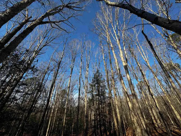 0 Mann Road, Winnsboro, SC 29180