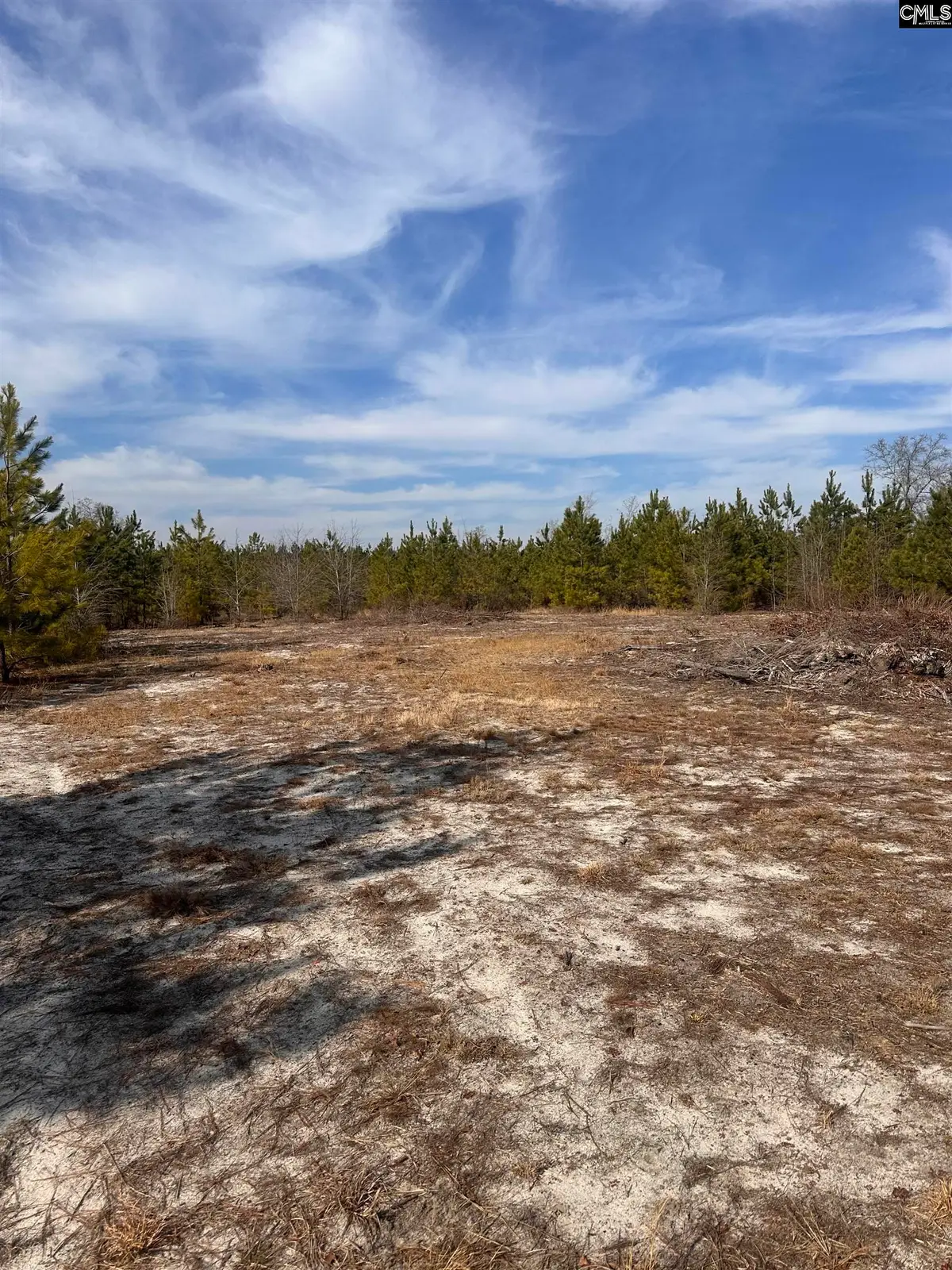 3061 Arcadia Road, Bethune, SC 29009 - #1