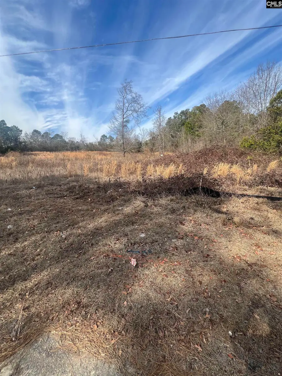 1650 Broad Street, Leesville, SC 29070 - #3