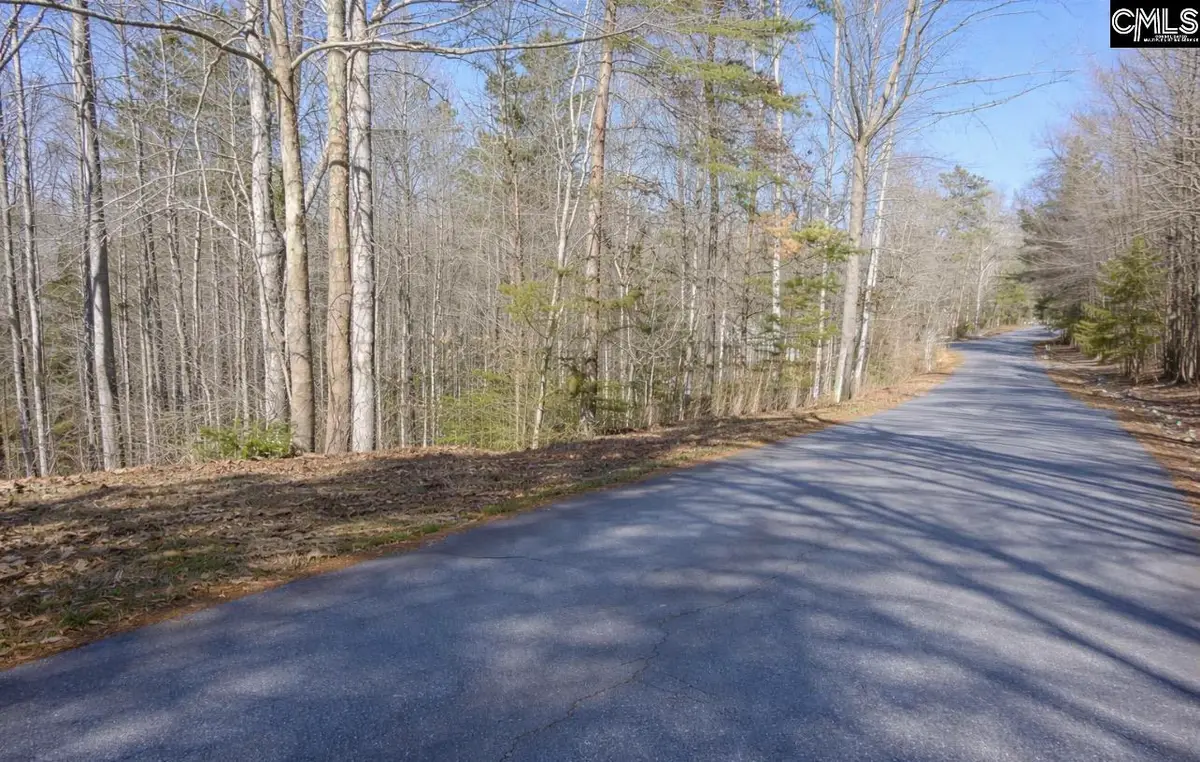 153 Silvery Lane, Liberty, SC 29657 - #1