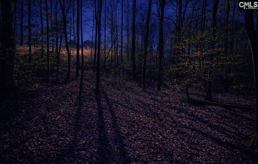 153 Silvery Lane, Liberty, SC 29657 - #2