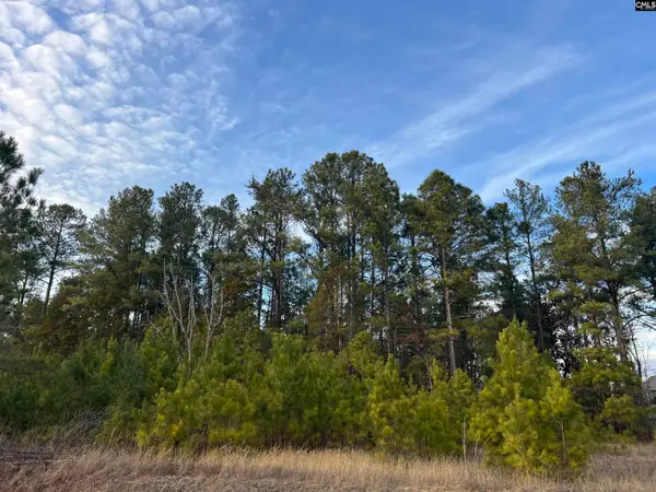 Bluefield Road, Lexington, SC 29073