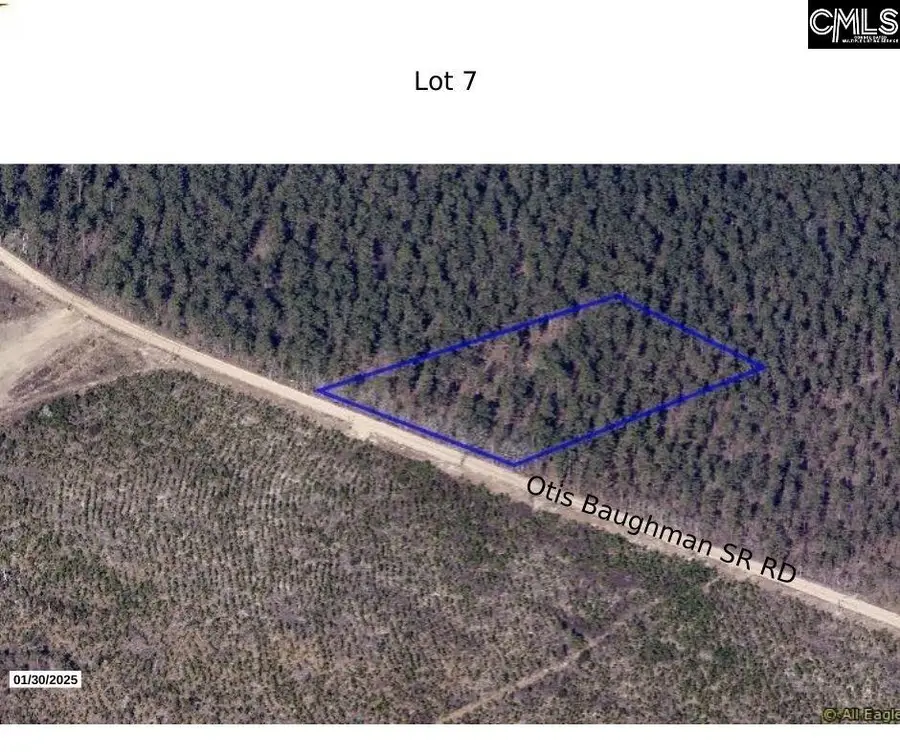 07 Otis Baughman S.r. Road, Wagener, SC 29164 - #2