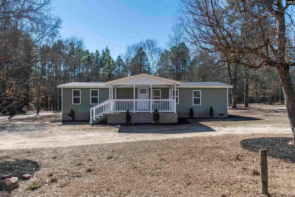 113 Patricia Ave, Pelion, SC 29123 - #1