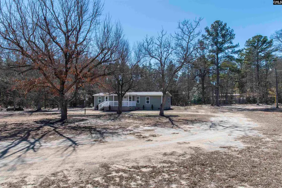 113 Patricia Ave, Pelion, SC 29123 - #3