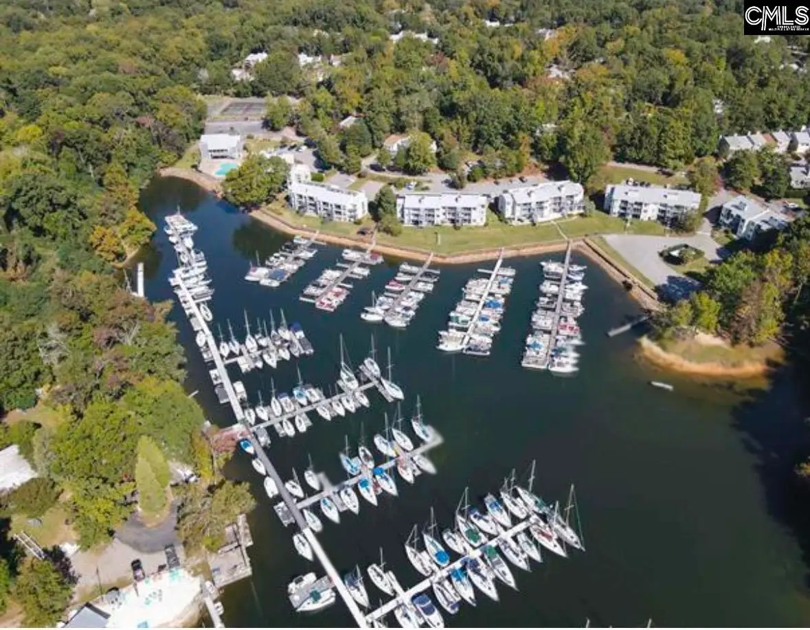 228 Shoreline Drive, Columbia, SC 29212 - #1