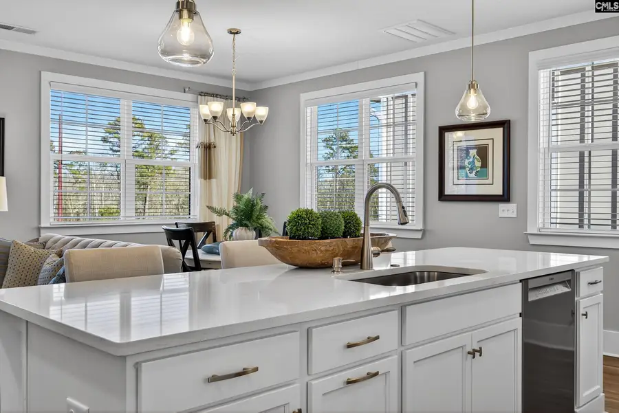 1008 Manarola Road, Lexington, SC 29072 - #2