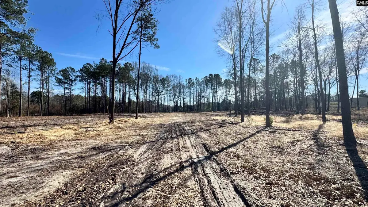 1045 Highway 1 N, Cassatt 2b, Cassatt, SC 29032 - #1