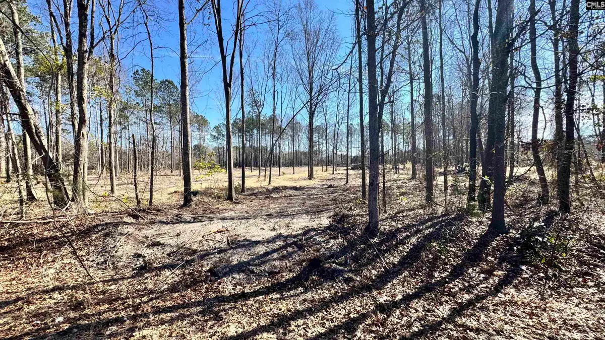 1045 Highway 1 N Cassatt 2c, Cassatt, SC 29032 - #1