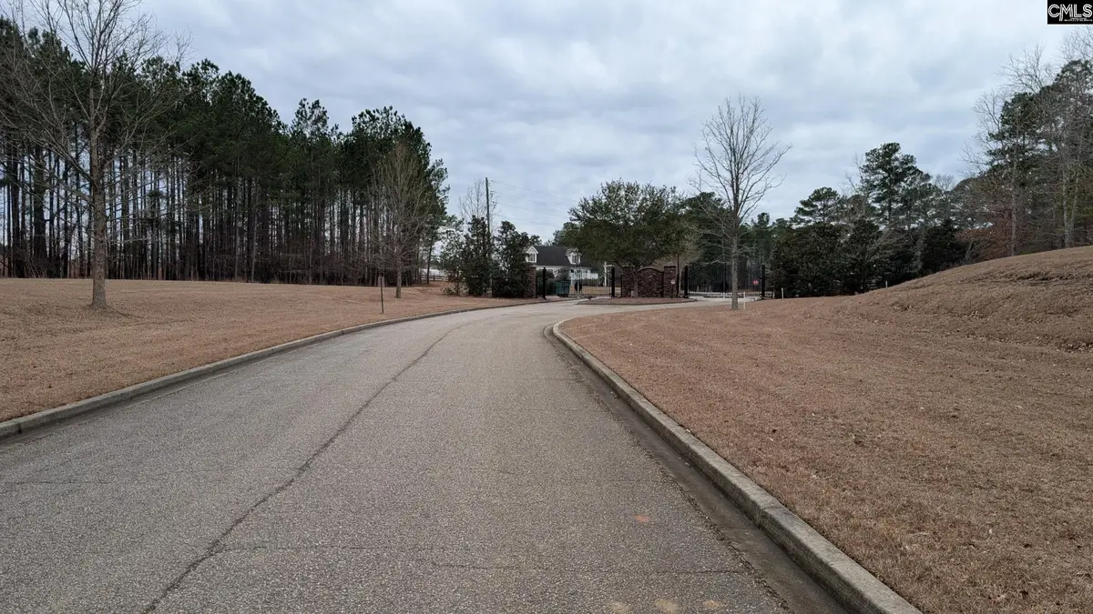 Lot 2 Retreat Way, Ridgeway, SC 29130 - #1
