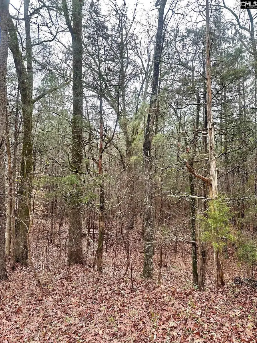 1178 Great Falls Highway, Chester, SC 29706 - #3