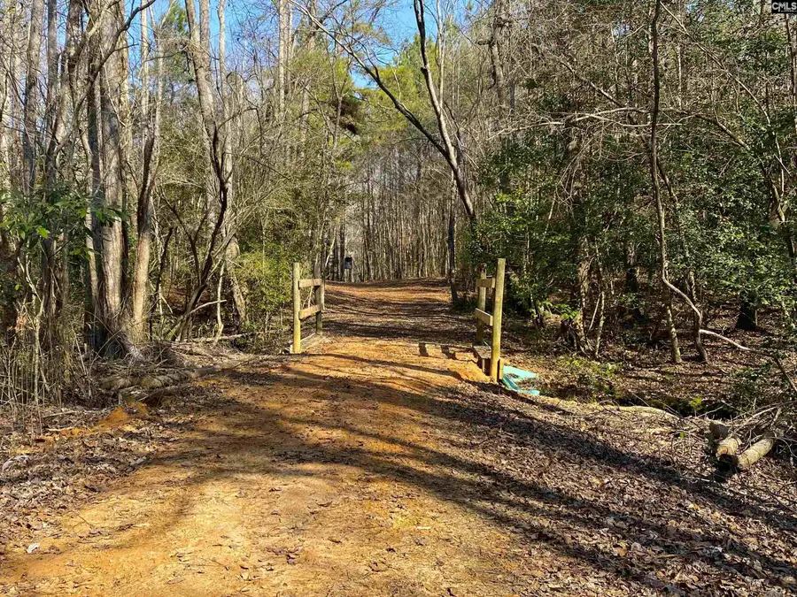 TBD 1 Juniper Road, Olar, SC 29843 - #3