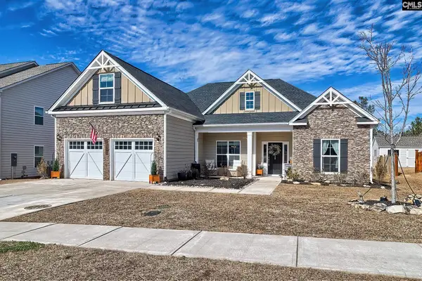 1420 Saugus Court, Chapin, SC 29036