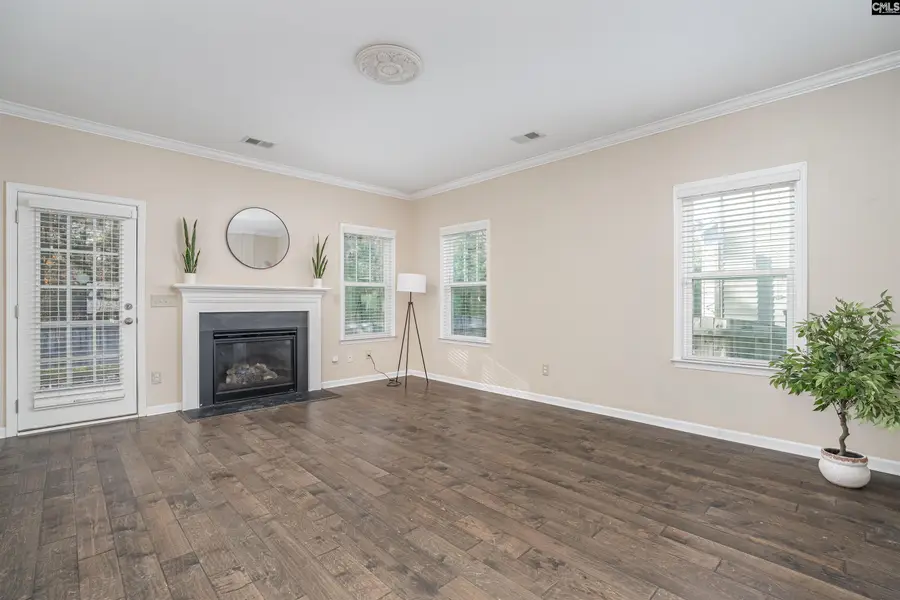 312 Lanyard Lane, Chapin, SC 29036 - #3