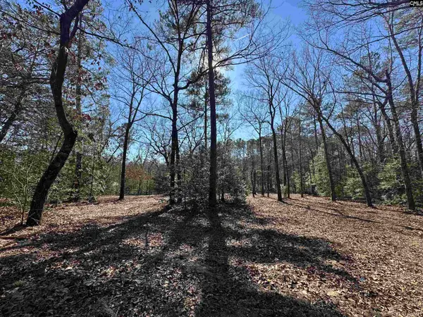 622 Juniper Springs Road, Gilbert, SC 29054