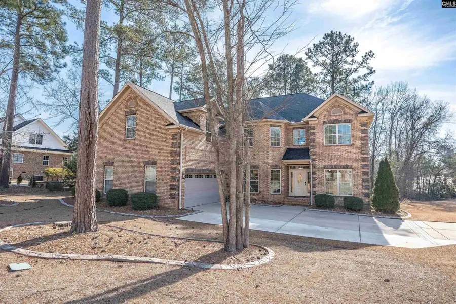 110 Night Harbor Drive, Chapin, SC 29036 - #2