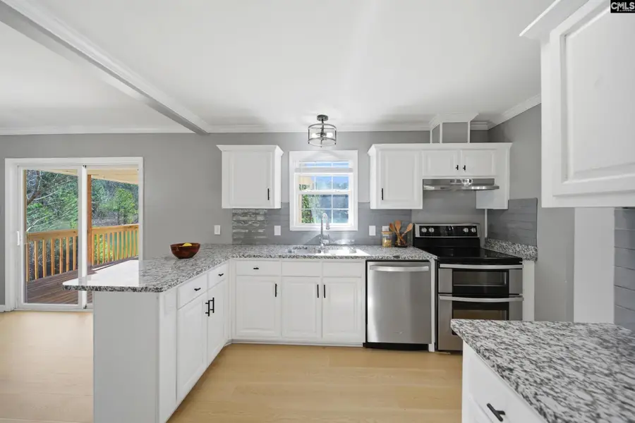 498 Maple Hollow Lane, Chapin, SC 29036 - #3