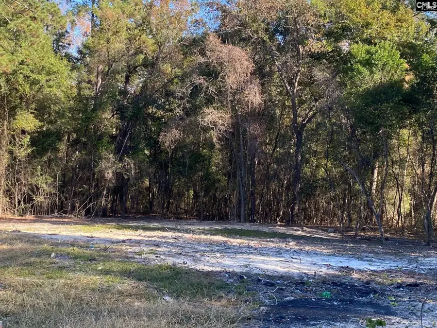 824 Anders Drive, Columbia, SC 29203 - #3