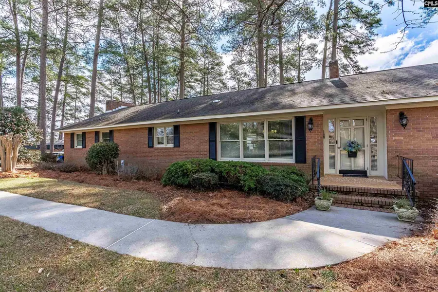 13 East Drive, Chapin, SC 29036 - #3