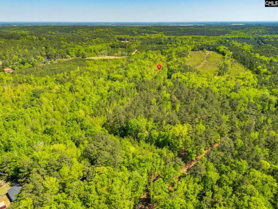 Black River Road, Rembert, SC 29128 - #2