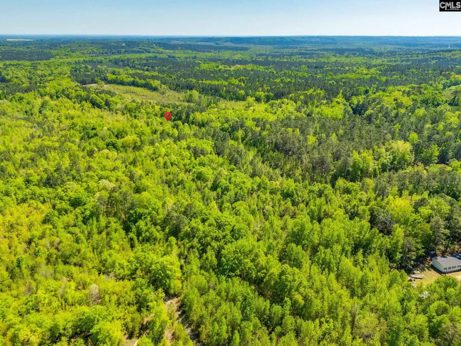 Black River Road, Rembert, SC 29128 - #3