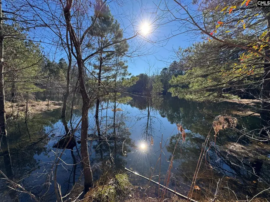 0 Sardis Church Road, Swansea, SC 29160 - #2