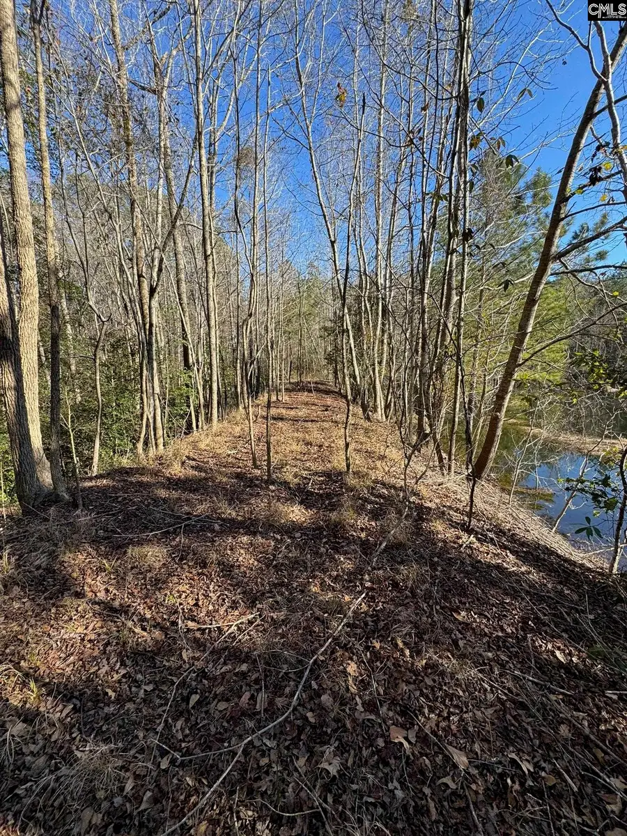 0 Sardis Church Road, Swansea, SC 29160 - #3