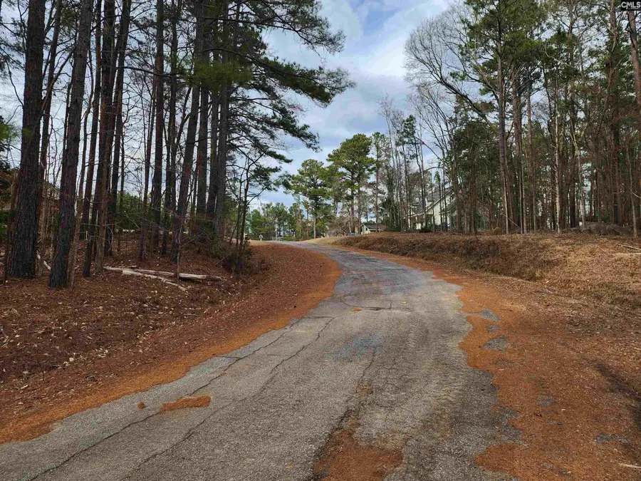 Lot 66 Kingswood Drive, Winnsboro, SC 29180 - #2