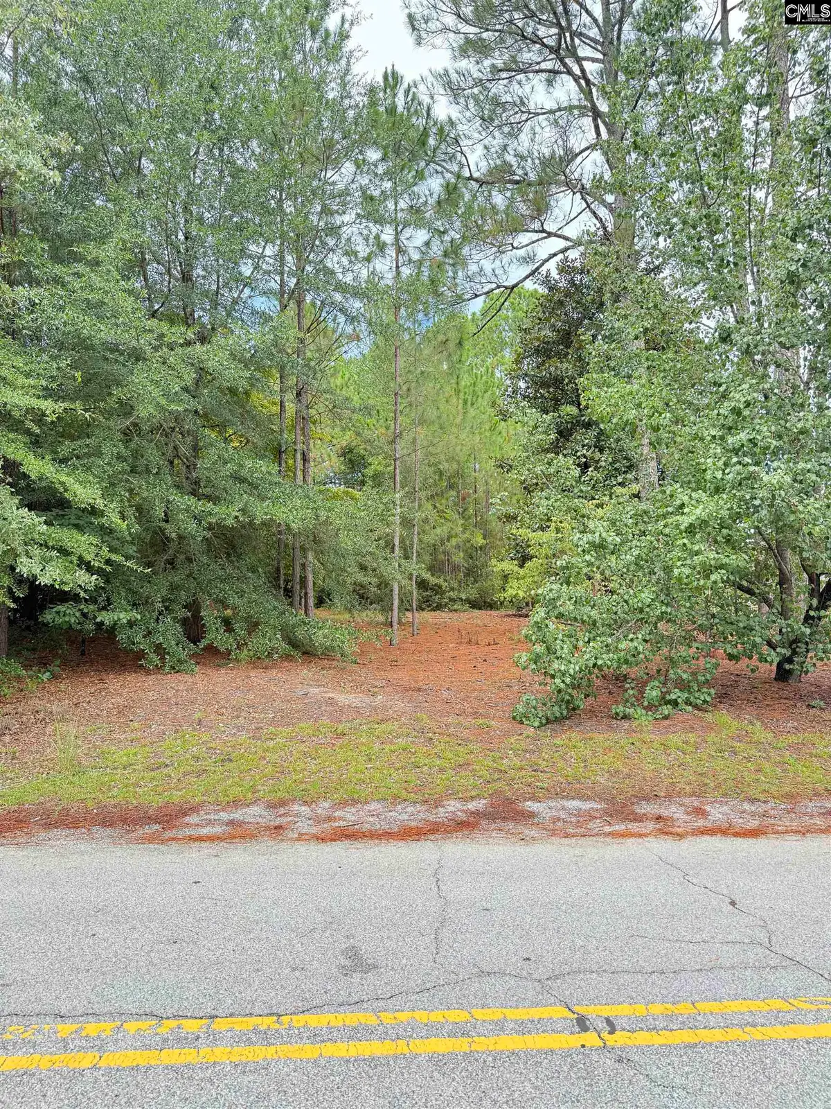 2413 Bermuda Hills Road, Columbia, SC 29223 - #1