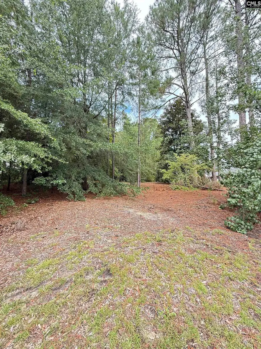 2413 Bermuda Hills Road, Columbia, SC 29223 - #2