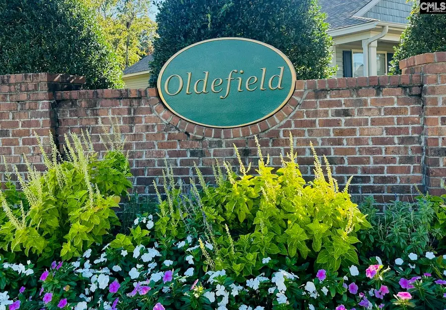 418 Sterling Road, Lexington, SC 29072 - #2