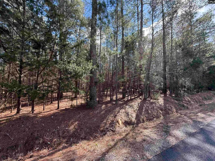 00 Ruby Riser Road, Batesburg, SC 29006 - #2