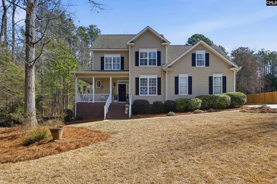 125 Mary Drive, Chapin, SC 29063 - #2