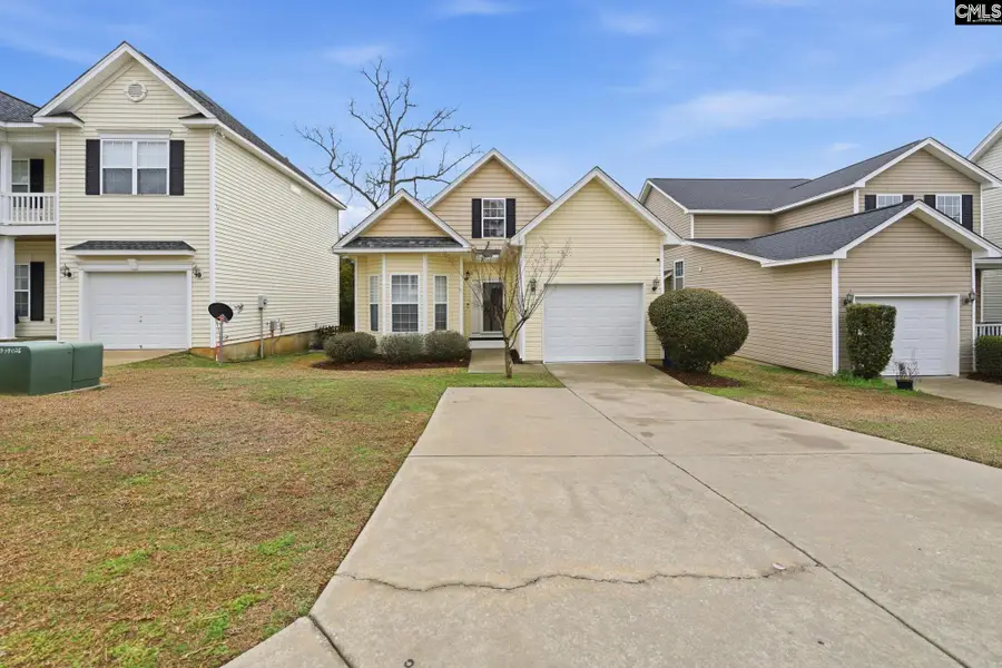 134 Walkbridge Way, Chapin, SC 29036 - #2